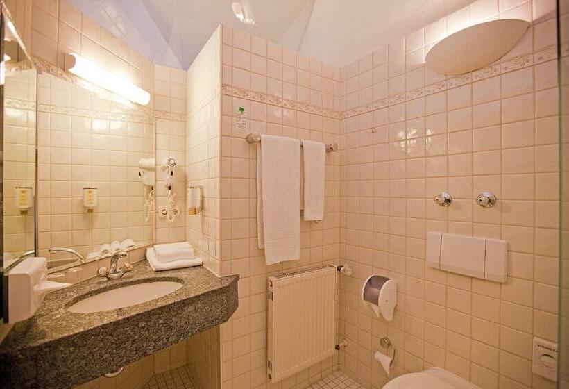 스탠다드 싱글 룸, Alter Wirt