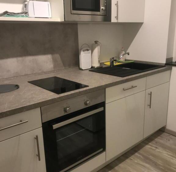 شقة ديلوكس غرفة واحدة, Haus Im Grünen