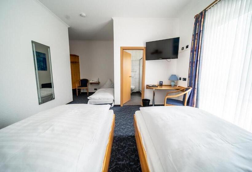 غرفة قياسية ثلاثية, Rieder