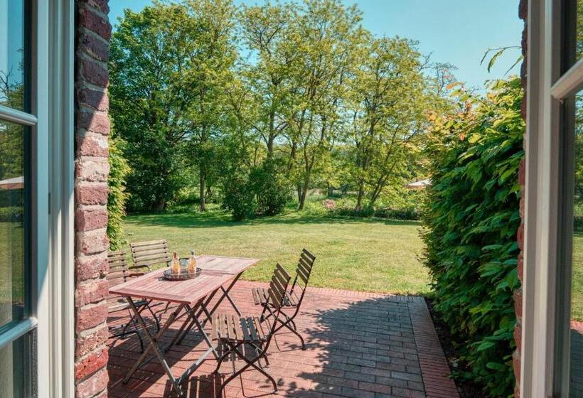 استودیو استاندارد با تراس, Schloss Wissen