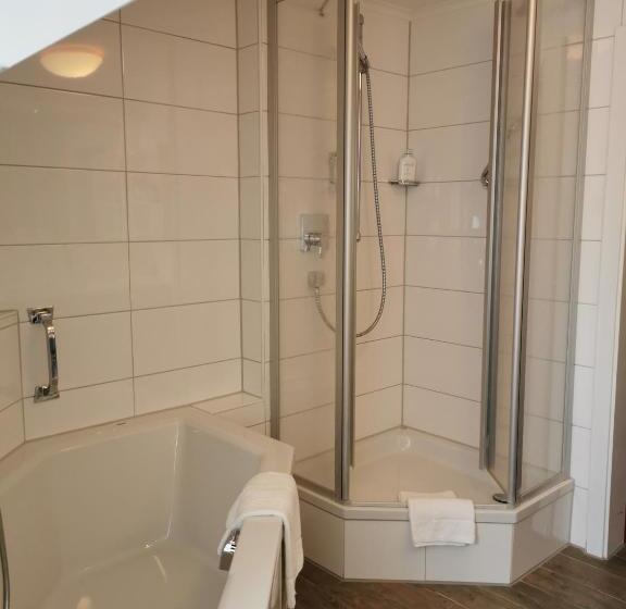 اتاق استاندارد, Wittelsbacher Hof