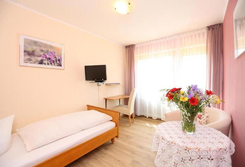 Одноместный Номер с Террасой, Landhaus Schwaben