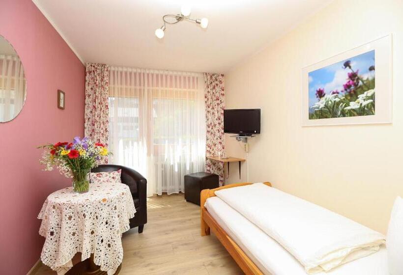 Одноместный Номер с Террасой, Landhaus Schwaben