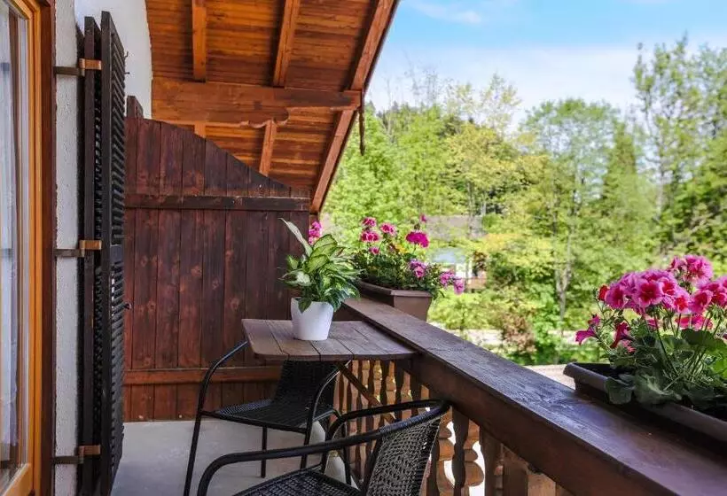 اتاق استاندارد با تراس, Landhaus Schwaben
