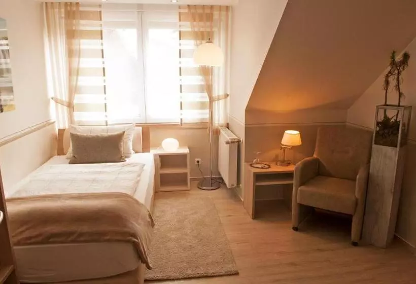 スタンダードシングルルーム, Landhotel Zum Hasen Hein