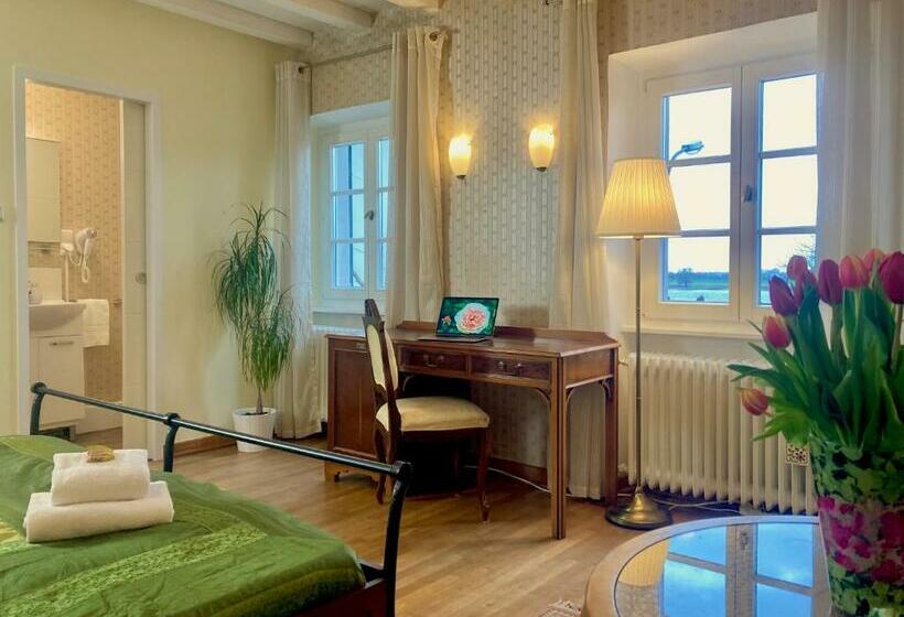 带观景的标准间, Rhein River Guesthouse   Direkt Am Rhein