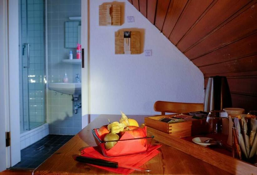 חדר קלאסי, Rhein River Guesthouse Direkt Am Rhein