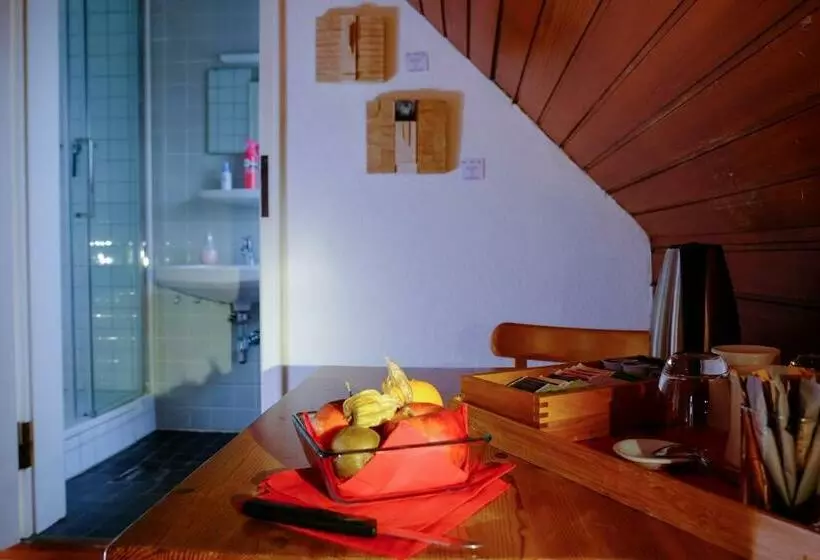 クラシックルーム, Rhein River Guesthouse   Direkt Am Rhein