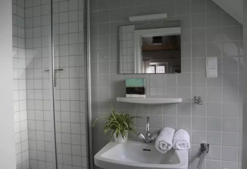 クラシックルーム, Rhein River Guesthouse   Direkt Am Rhein