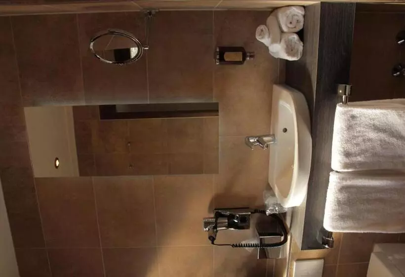 スタンダードシングルルーム, Romantisches Hotel Menzhausen