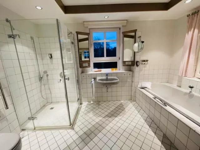 シングルベーシックルーム, Romantisches Hotel Menzhausen