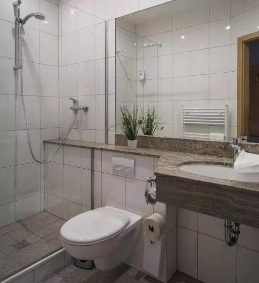 コンフォートシングルルーム, Schwiizeralp Hotel & Restaurant