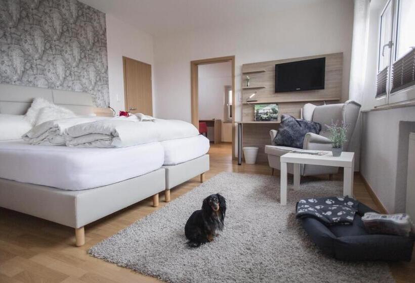 Номер Deluxe, Schwiizeralp Hotel & Restaurant