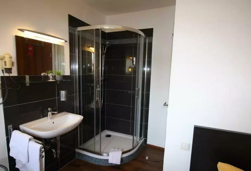 اتاق استاندارد یک تخته با سرویس بهداشتی مشترک, Stadthotel Kleiner Berg