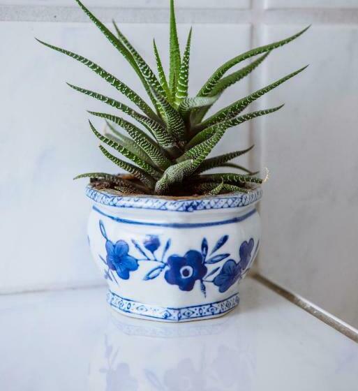 غرفة قياسية فردية, Pension Bertha