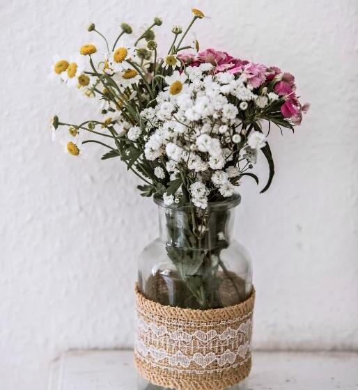 غرفة قياسية, Pension Bertha