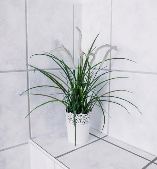 غرفة سوبيريور, Pension Bertha