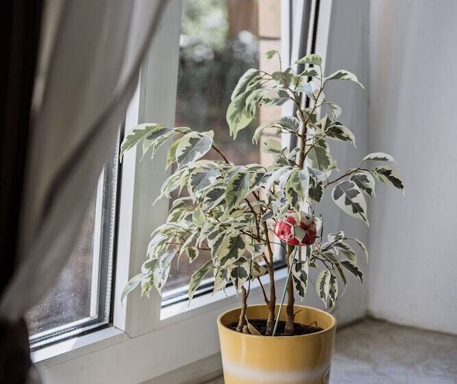 غرفة قياسية, Pension Bertha