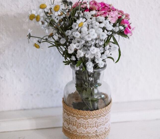 غرفة سوبيريور, Pension Bertha