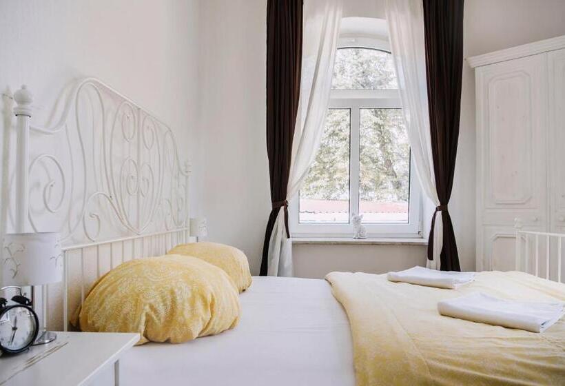 غرفة قياسية, Pension Bertha