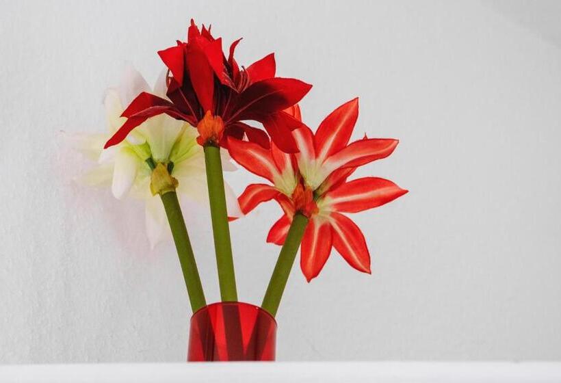 غرفة قياسية, Pension Bertha