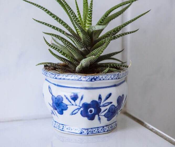 غرفة قياسية فردية, Pension Bertha