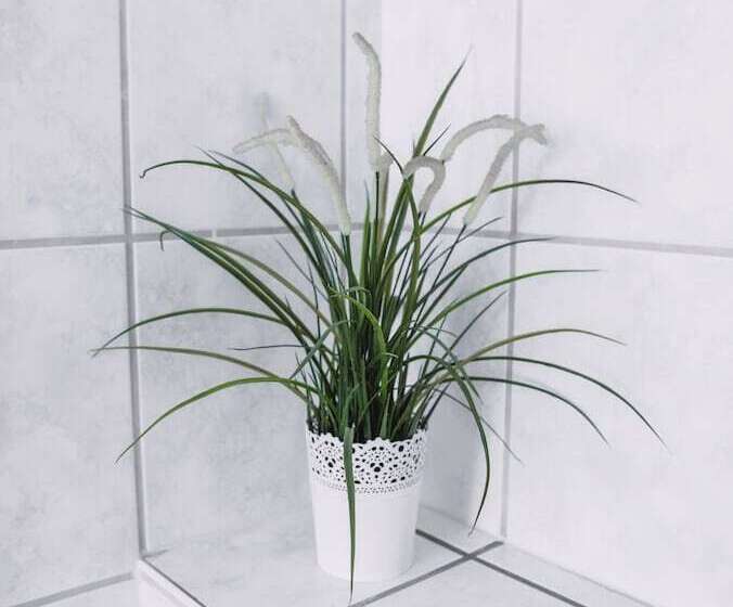 غرفة سوبيريور, Pension Bertha