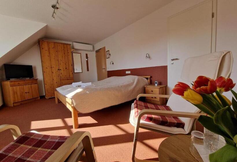 غرفة قياسية, Garni Hotel Zum Hothertor