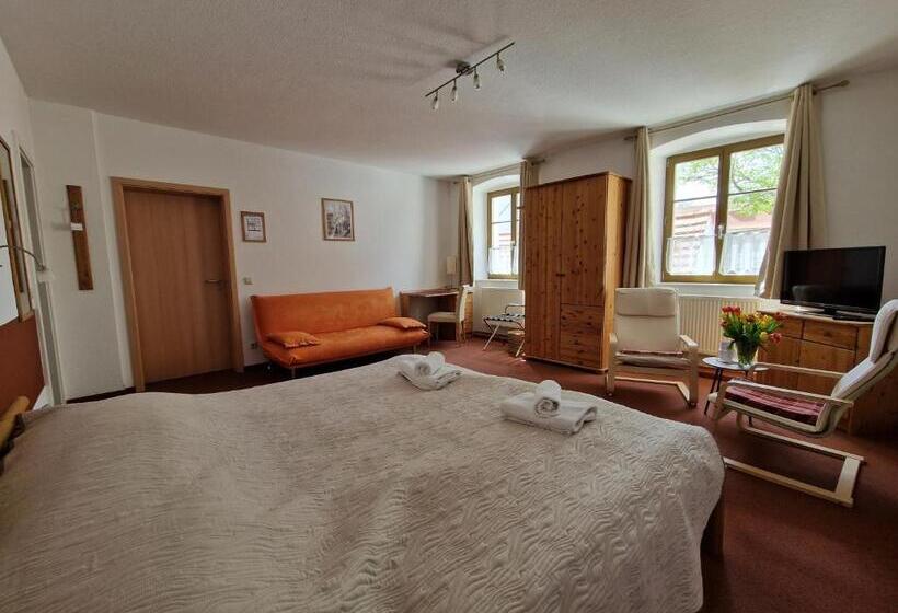 غرفة قياسية, Garni Hotel Zum Hothertor