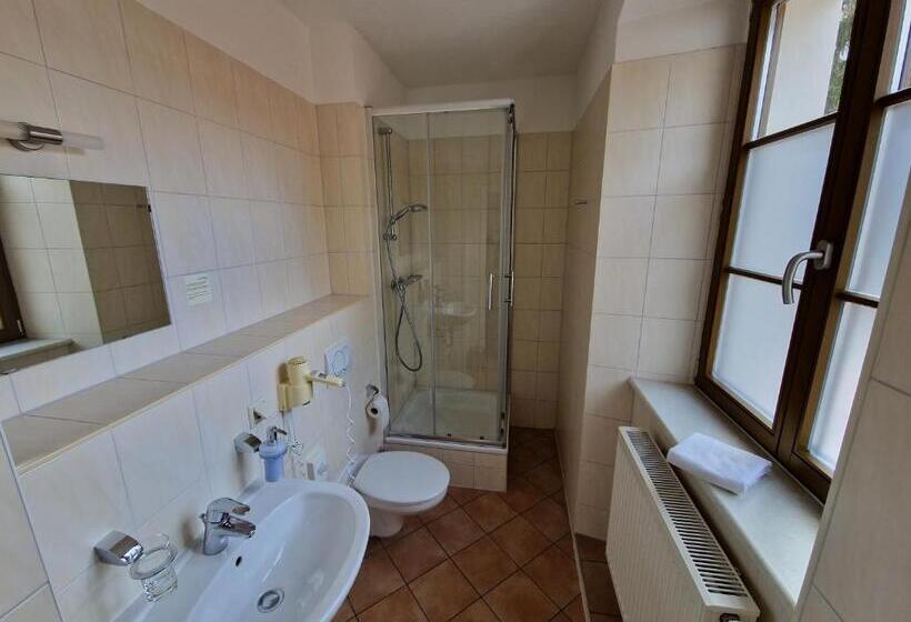 غرفة قياسية فردية, Garni Hotel Zum Hothertor