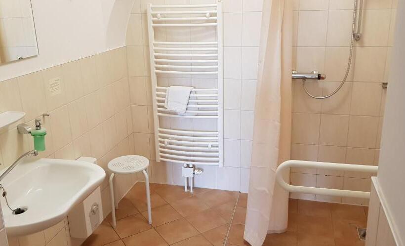 غرفة قياسية فردية, Garni Hotel Zum Hothertor