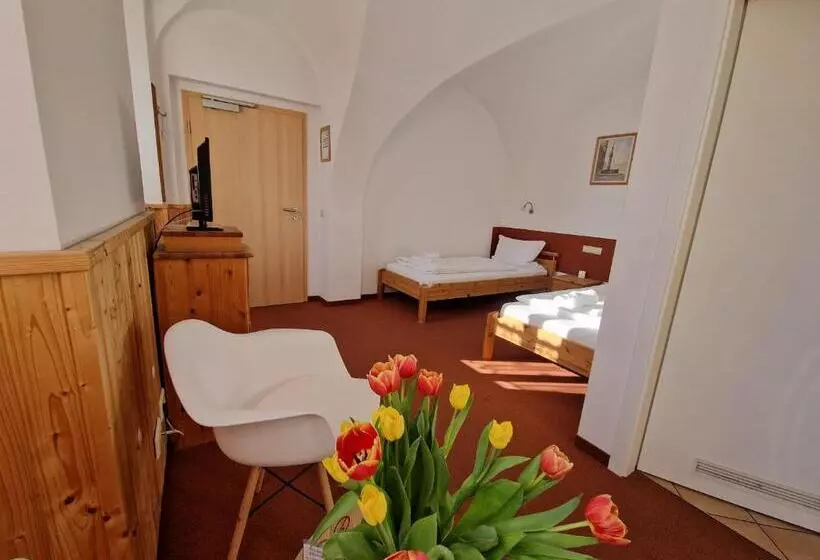 ベーシックルーム, Garni Hotel Zum Hothertor