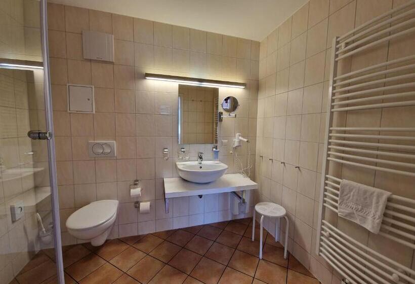 غرفة قياسية, Garni Hotel Zum Hothertor