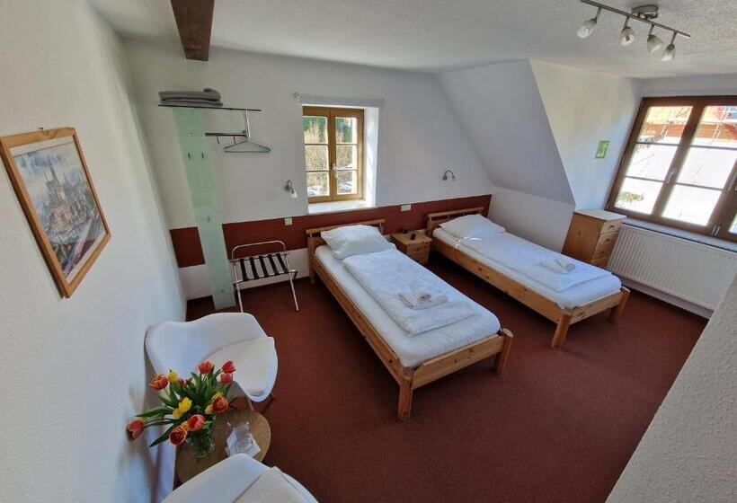 غرفة قياسية, Garni Hotel Zum Hothertor