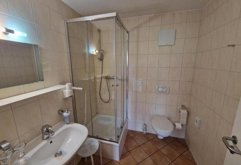 Номер Стандарт, Garni Hotel Zum Hothertor