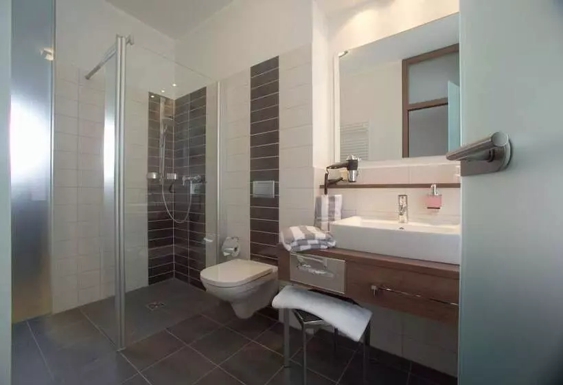 Habitación Estàndard Individual, Bruhlerhohe
