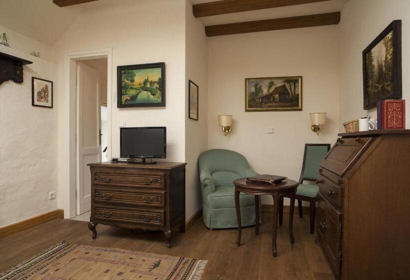 스탠다드 싱글 룸, Burg Boetzelaer