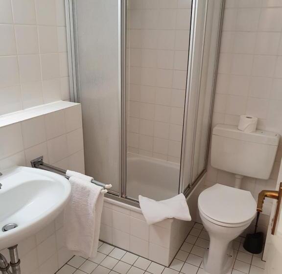 غرفة قياسية فردية, Casino Im Park