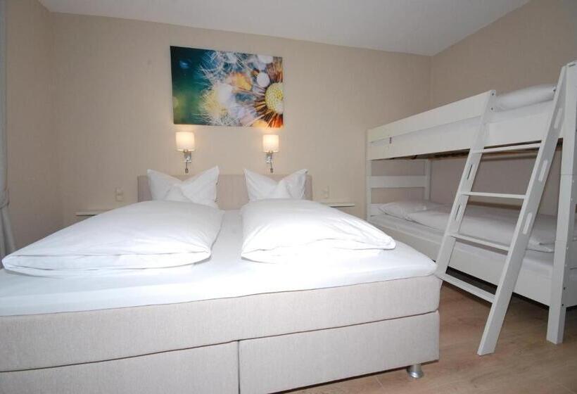 غرفة قياسية رباعية, Colosseum