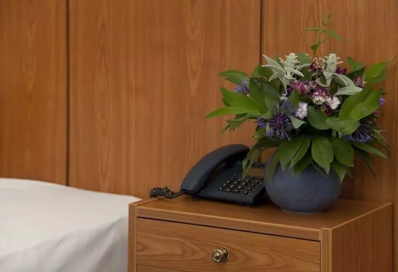 Standard Single Room, Und Restaurant Gartenstadt Erfurt