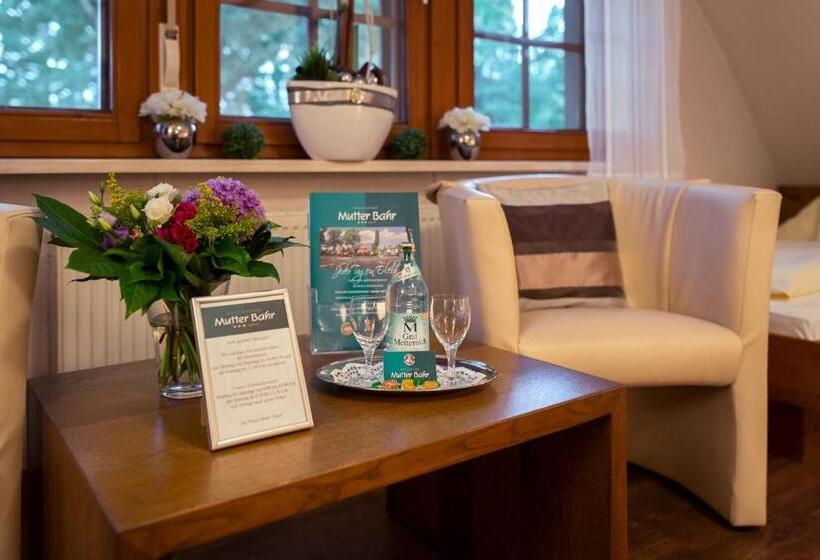 Номер Стандарт Трехместный, Mutterbahr