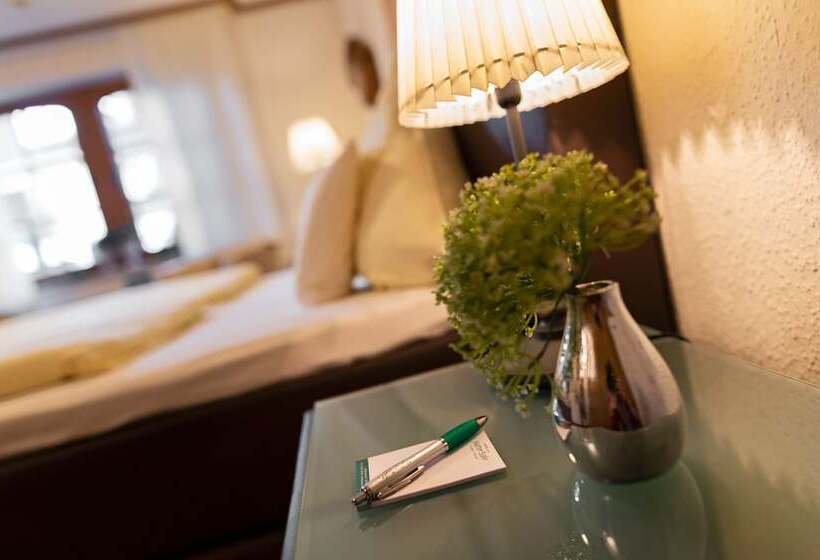 Номер Стандарт Индивидуальный, Mutterbahr