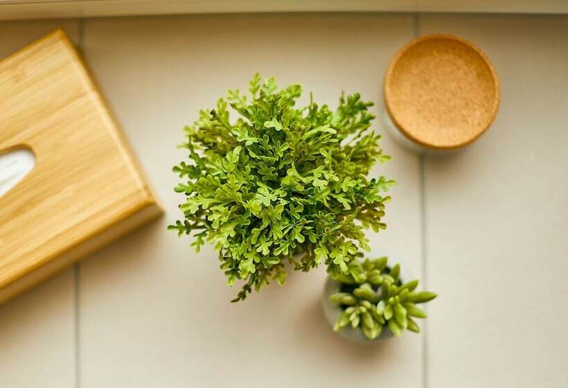 スタンダードルーム, Rochter Land