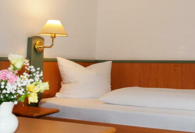 غرفة قياسية فردية, Waldschlösschen Brotterode