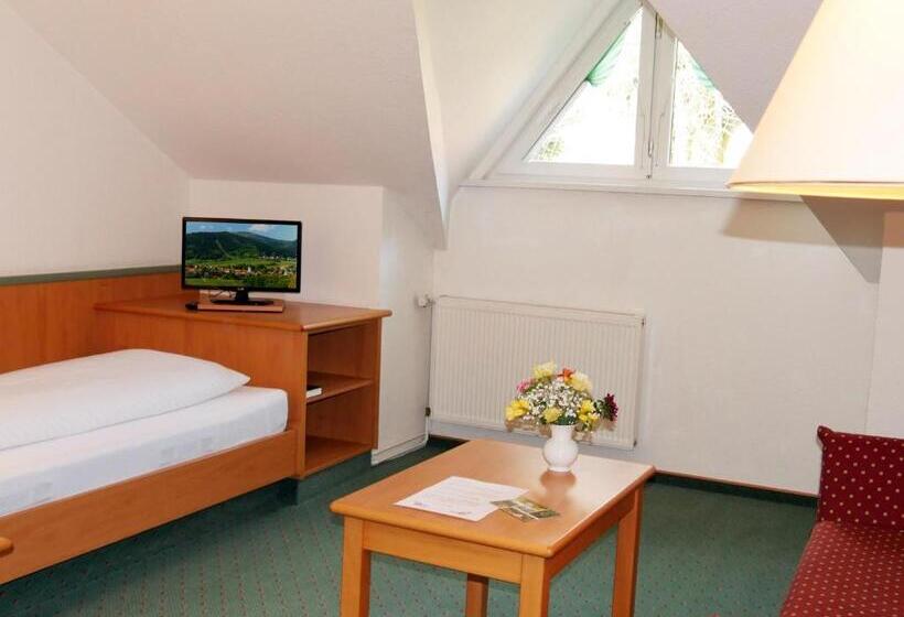 غرفة قياسية فردية, Waldschlösschen Brotterode