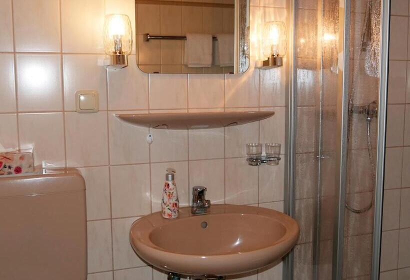 غرفة قياسية, Waldschlösschen Brotterode