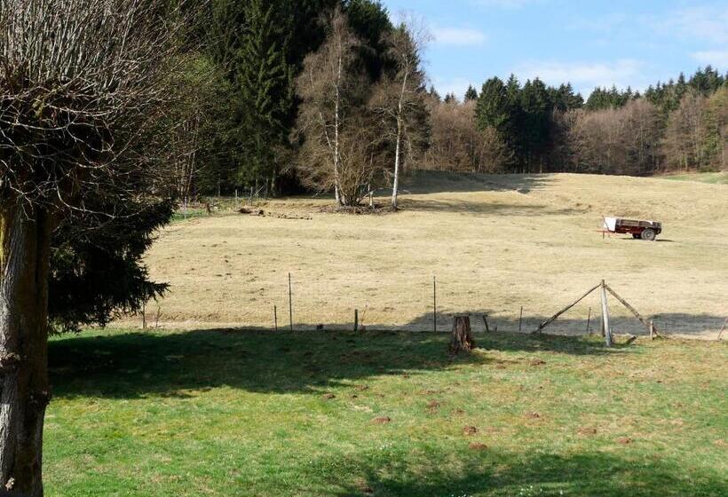 غرفة قياسية مزوَّدة بشُرفة, Waldschlösschen Brotterode