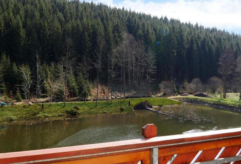 Номер Стандарт, Waldschlösschen Brotterode