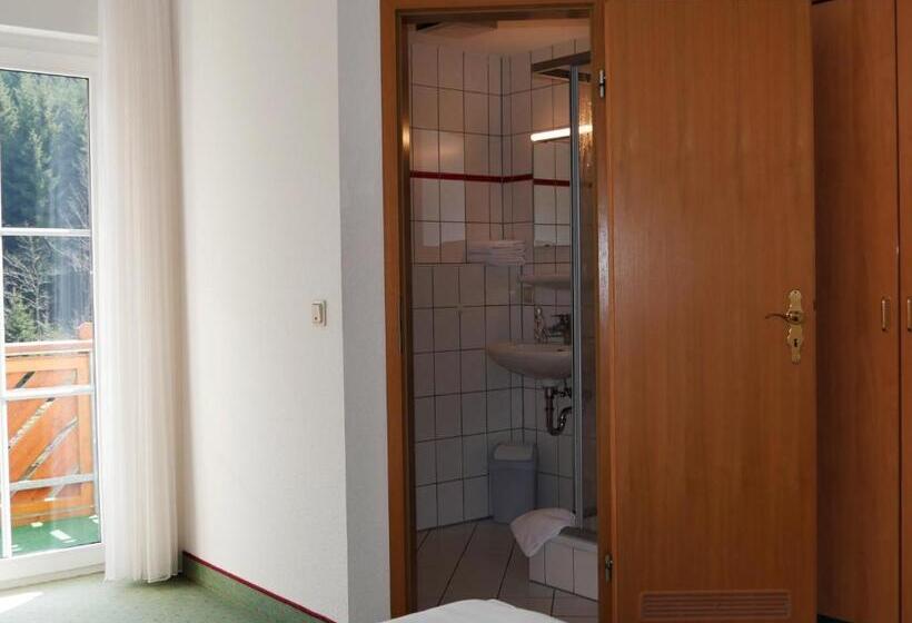 غرفة قياسية, Waldschlösschen Brotterode