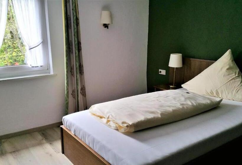 스탠다드 싱글 룸, Land Gut Hotel Zur Brücke